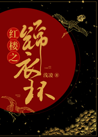 红楼之锦衣环