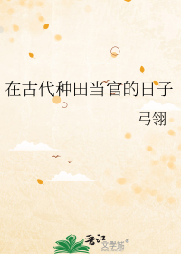 在古代种田当官的日子