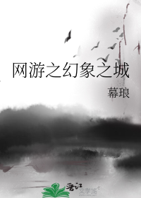 网游之幻象之城