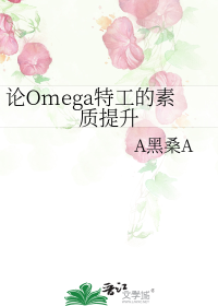 论Omega特工的素质提升