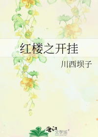 红楼之开挂