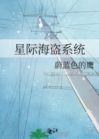 星际海盗系统