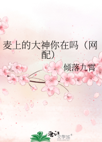 麦上的大神你在吗（网配）