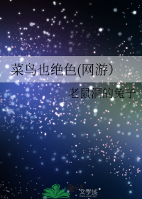 菜鸟也绝色(网游）