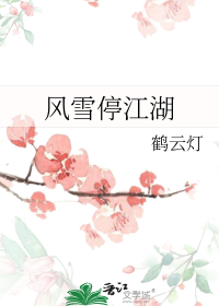 风雪停江湖