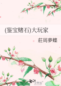 (鉴宝赌石)大玩家