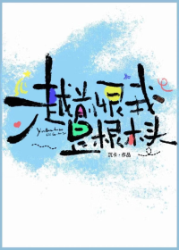 越前恨我是根木头