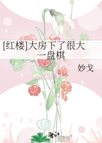 [红楼]大房下了很大一盘棋